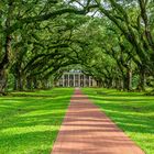 Oak Alley Plantage