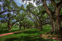 Oak Alley Plantation