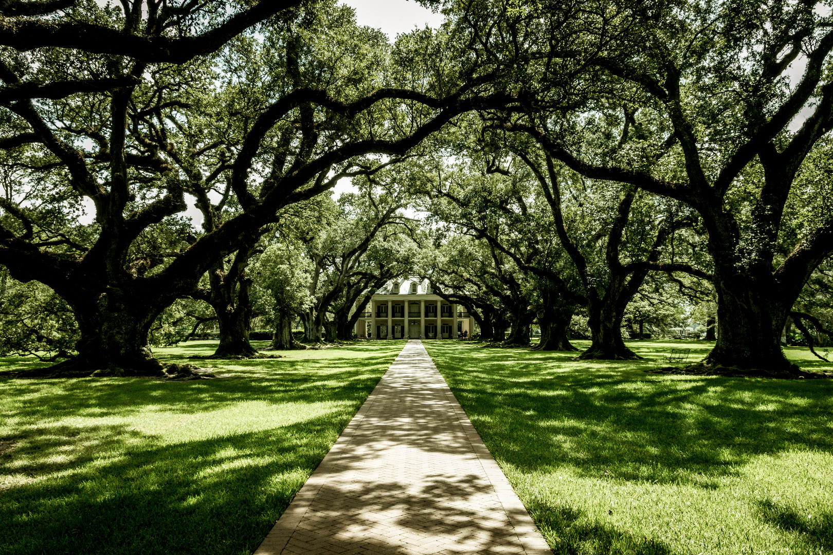 Oak Alley Plantation