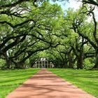 Oak Alley Plantation