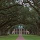 Oak Alley Plantation