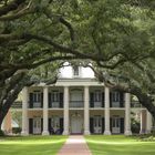 oak alley plantation