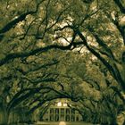 Oak Alley Plantation