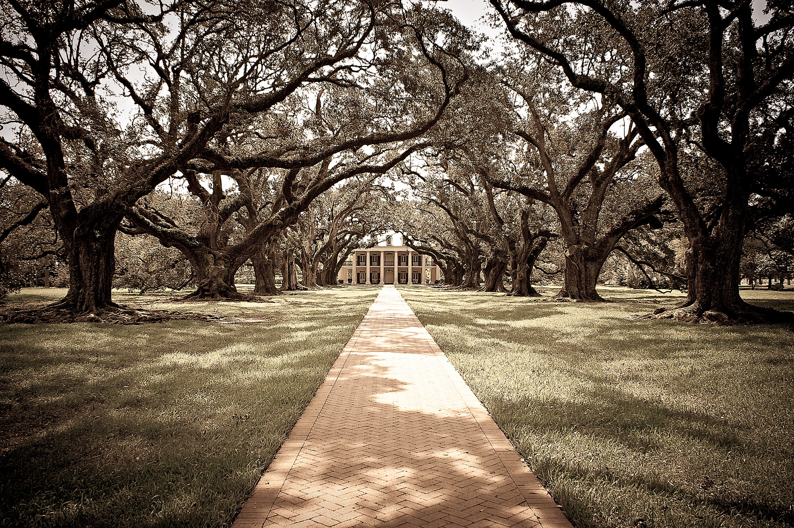 Oak Alley Plantation