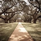 Oak Alley Plantation