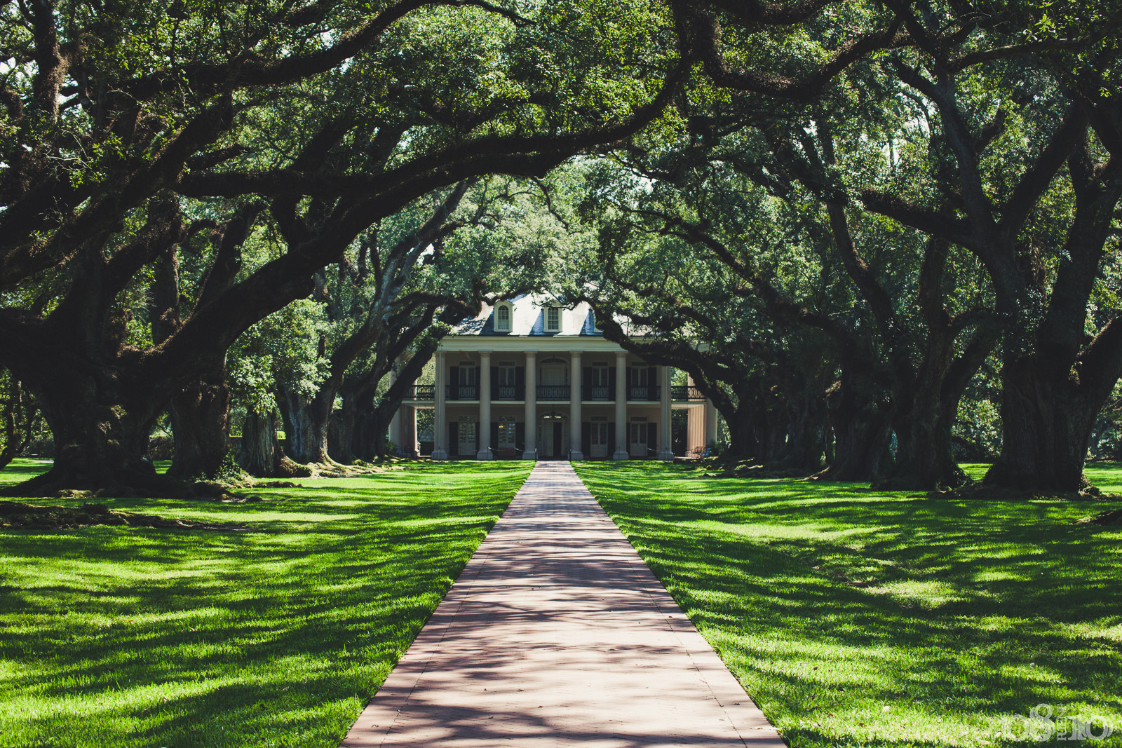 Oak Alley Plantation