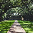 Oak Alley Plantation