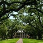 Oak Alley Plantation