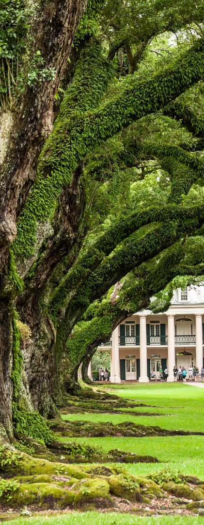 Oak Alley Plantation