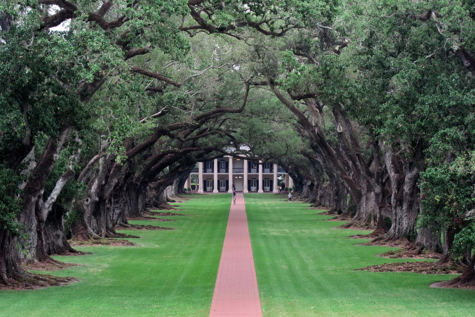 Oak Alley Plantation - (fast)  wie dazumal