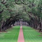 Oak Alley Plantation - (fast)  wie dazumal