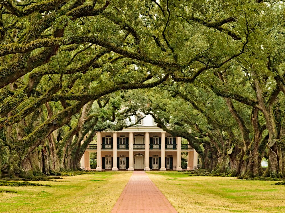 Oak Alley Plantation - Louisiana