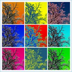 « Oak Art » - Fantaisie colorée au chêne - Farbige Phantasie mit Eiche