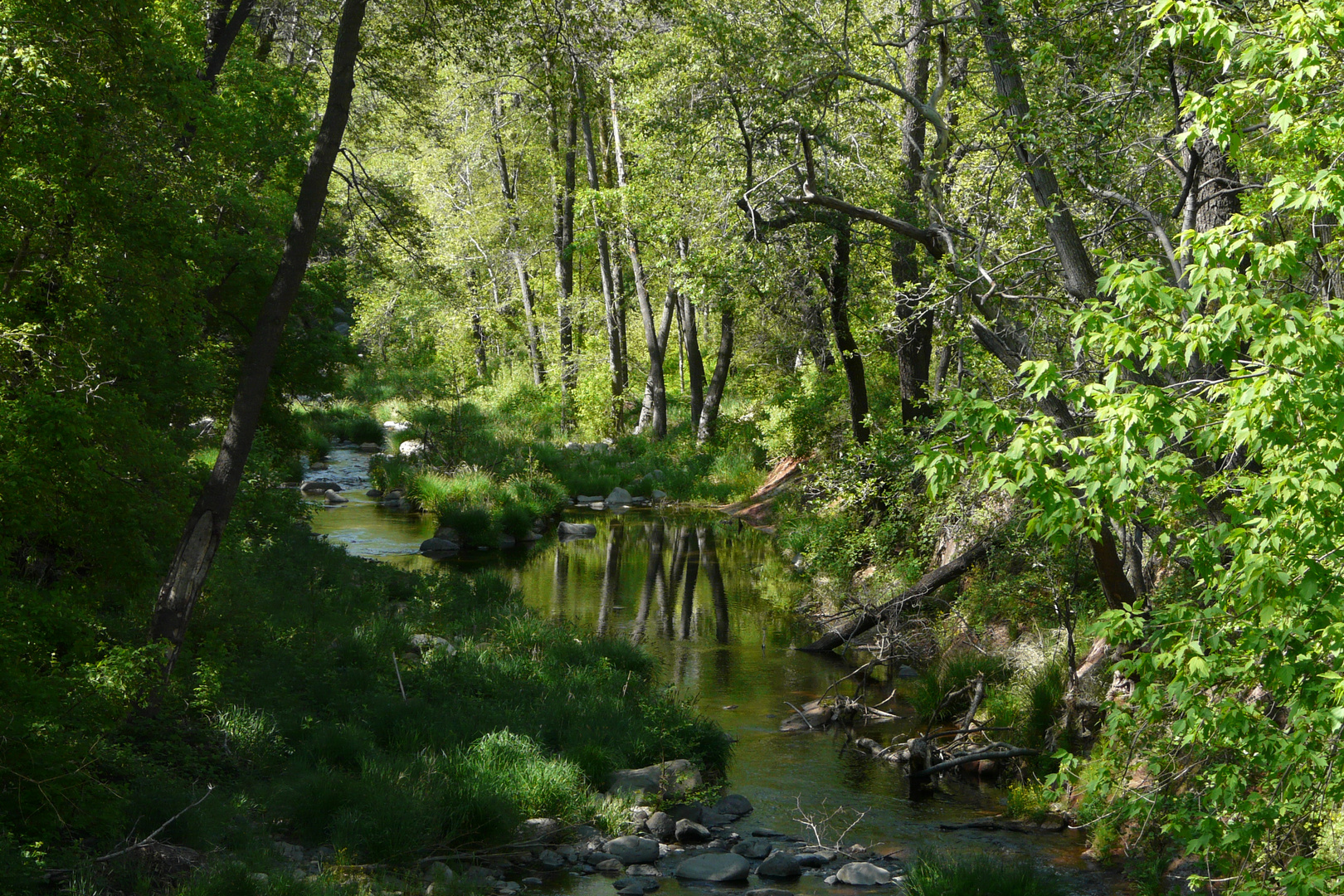 Oak Creek Canyon Sedona