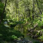 Oak Creek Canyon Sedona