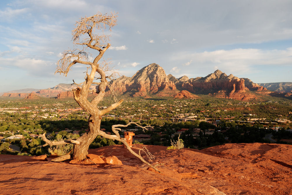 Oak Creek Canyon / Sedona