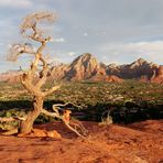 Oak Creek Canyon / Sedona