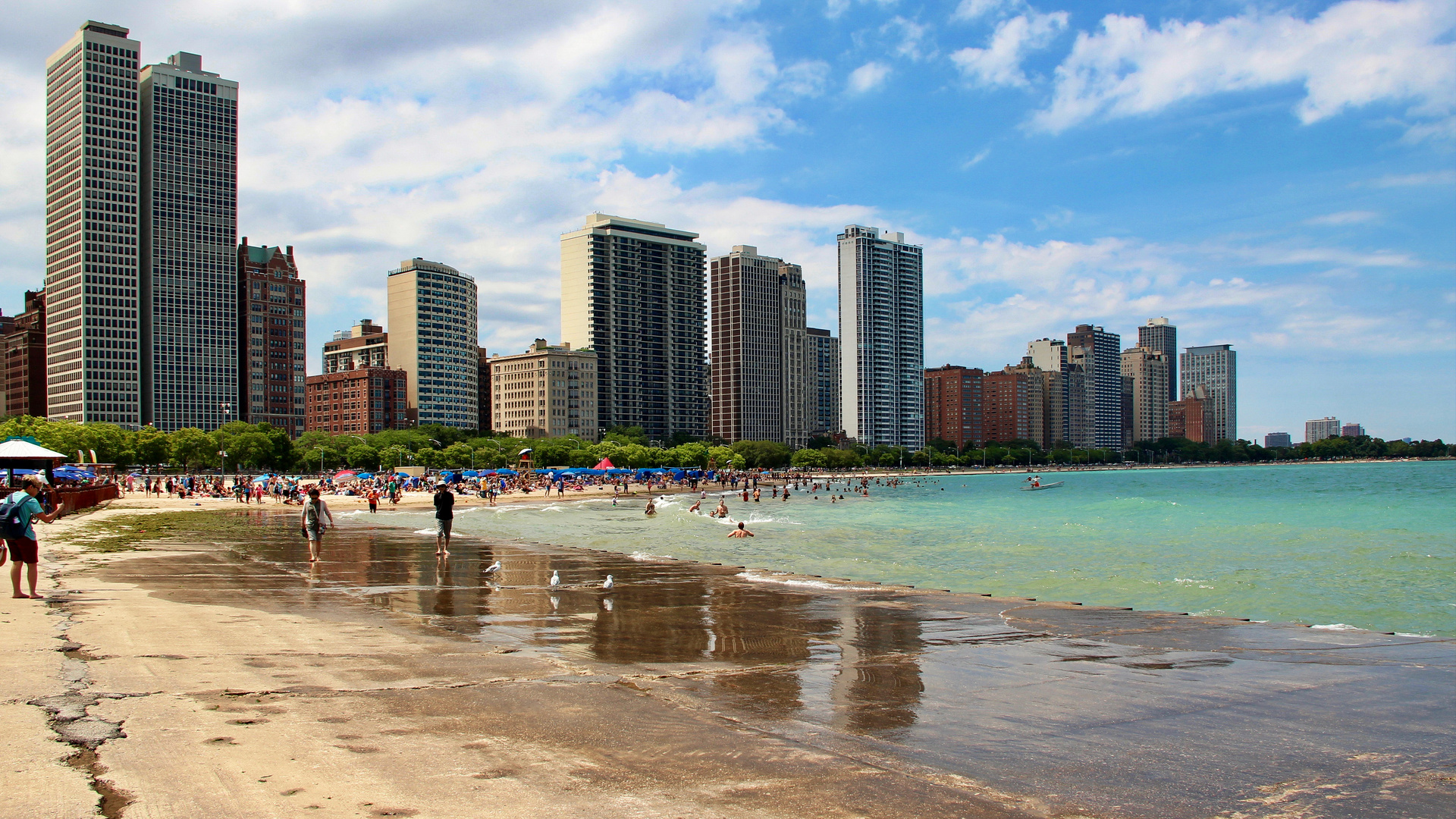 Oak Street Beach