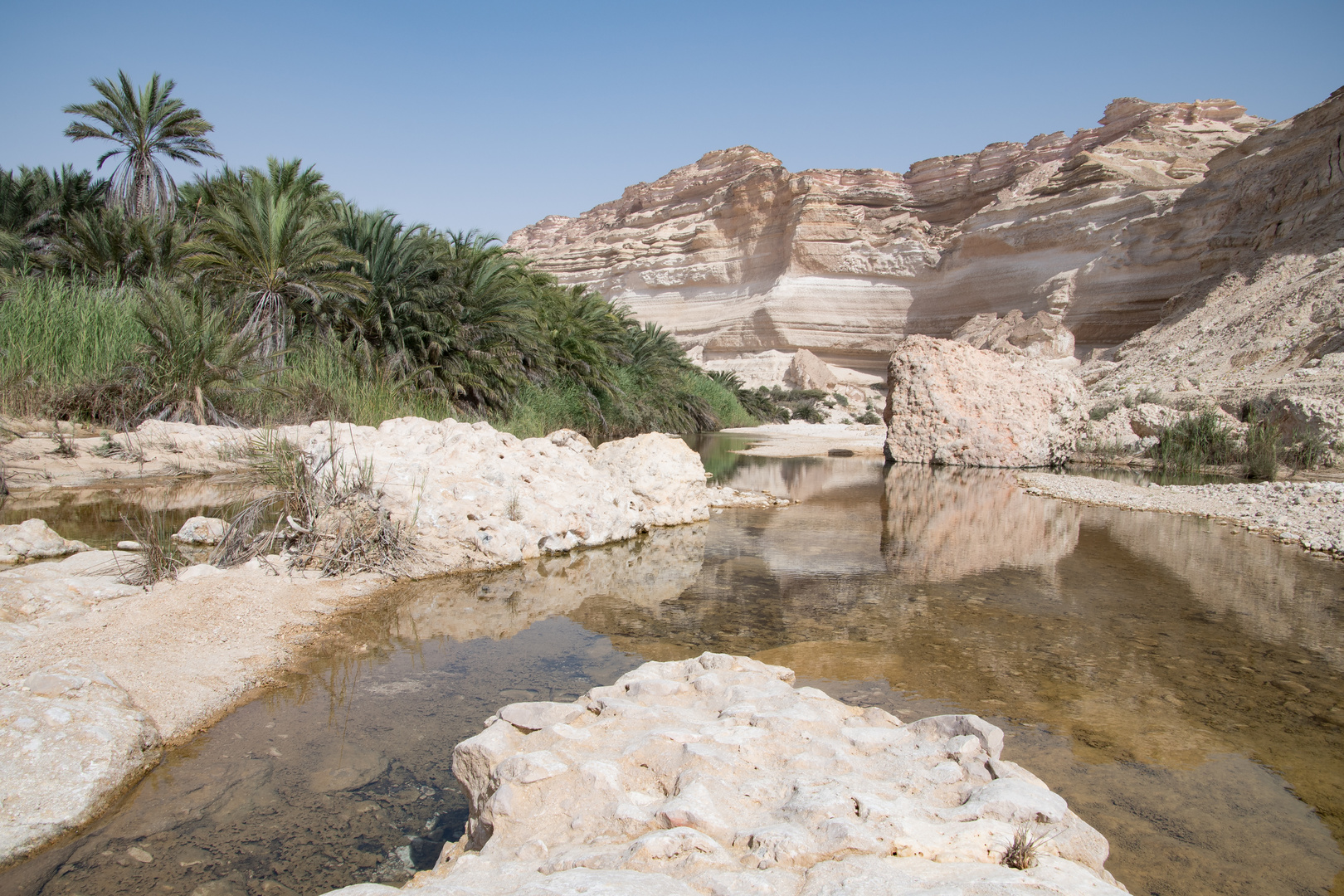 Oase Foto & Bild | asia, middle east, landschaft Bilder auf fotocommunity