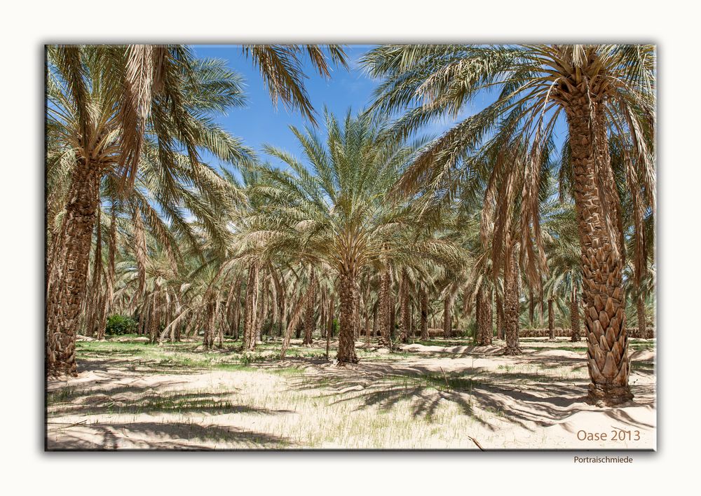Oase Foto & Bild | africa, north africa, tunisia Bilder auf fotocommunity