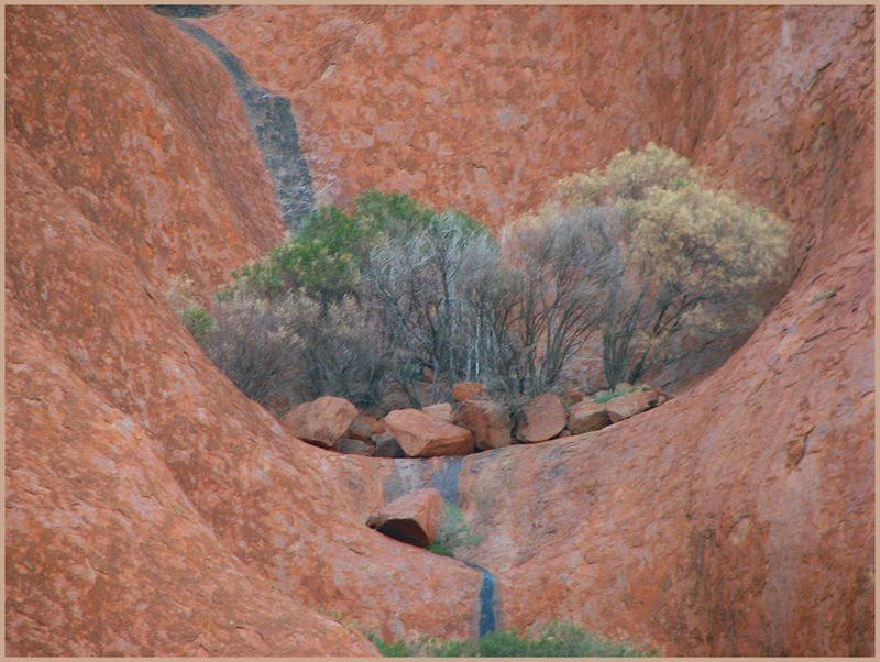 Oase am Uluru?