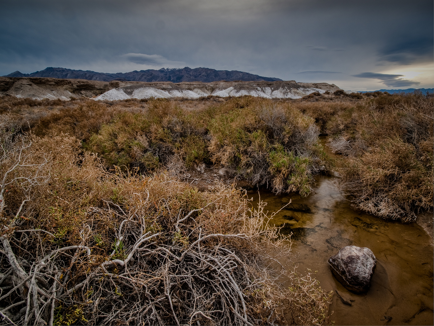 Oase ? Foto & Bild | north america, united states, national parks ...