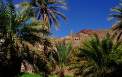 Oase bei Nizwa