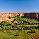 Oase Canyon de Chelly