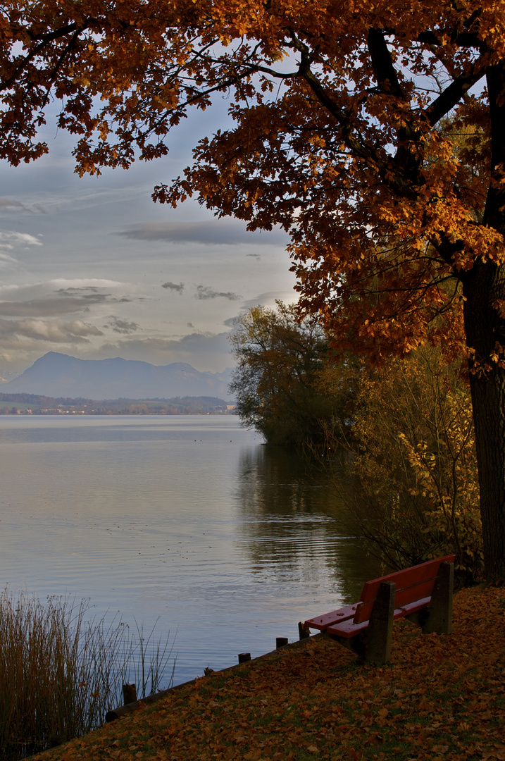 Oase des Herbstes..