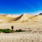 Oase Huacachina