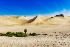 Oase Huacachina, Peru