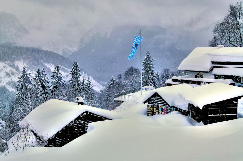 Oase in der Schneewüste