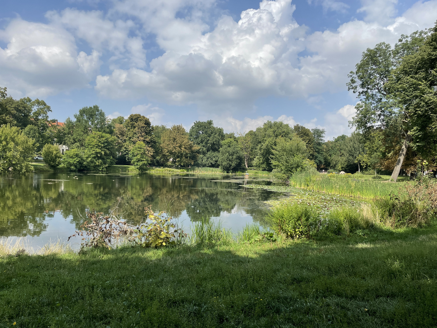 Oase inmitten der Großstadt