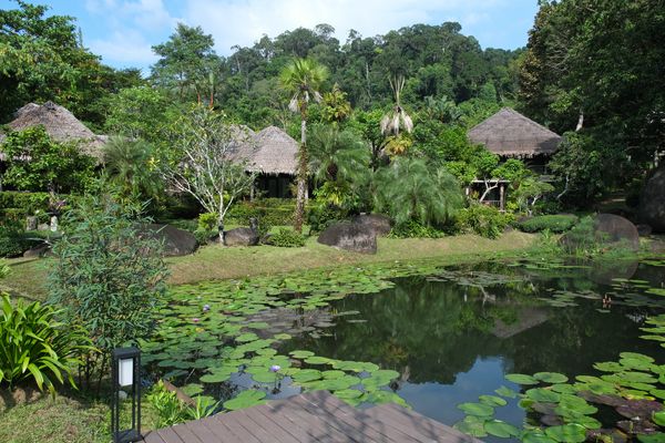 ...Oase Khao Lak Paradise...