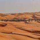 Oase     Liwa Wüste      Abu Dhabi VAE
