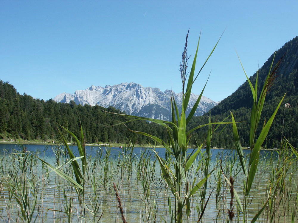 "Oase zwischen Mittenwald und Garmisch"