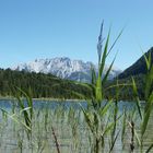 "Oase zwischen Mittenwald und Garmisch"