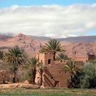 Oase zwischen Ouarzazate und Marakesch