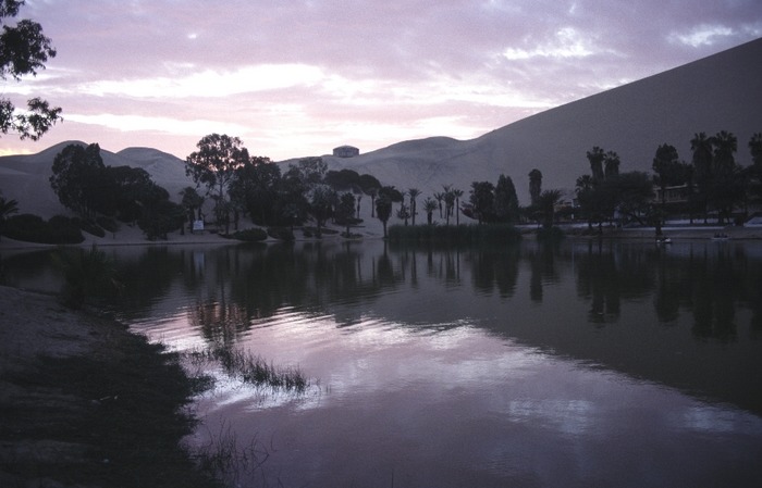 Oasenlandschaft in Peru bei Abendlicht