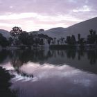 Oasenlandschaft in Peru bei Abendlicht