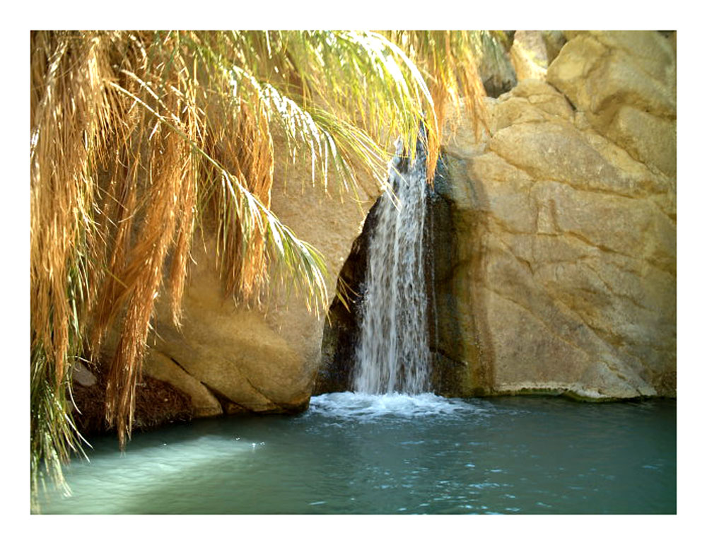 OASI DEL DESERTO ROCCIOSO DEL SAHARA