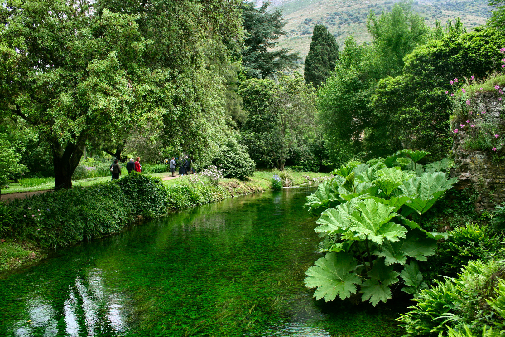 Oasi di Ninfa - Sermoneta (LT)