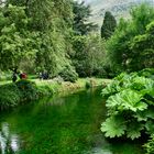 Oasi di Ninfa - Sermoneta (LT)