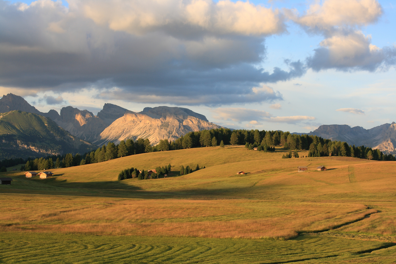 oasi di pace