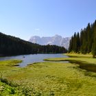 Oasi in montagna.....