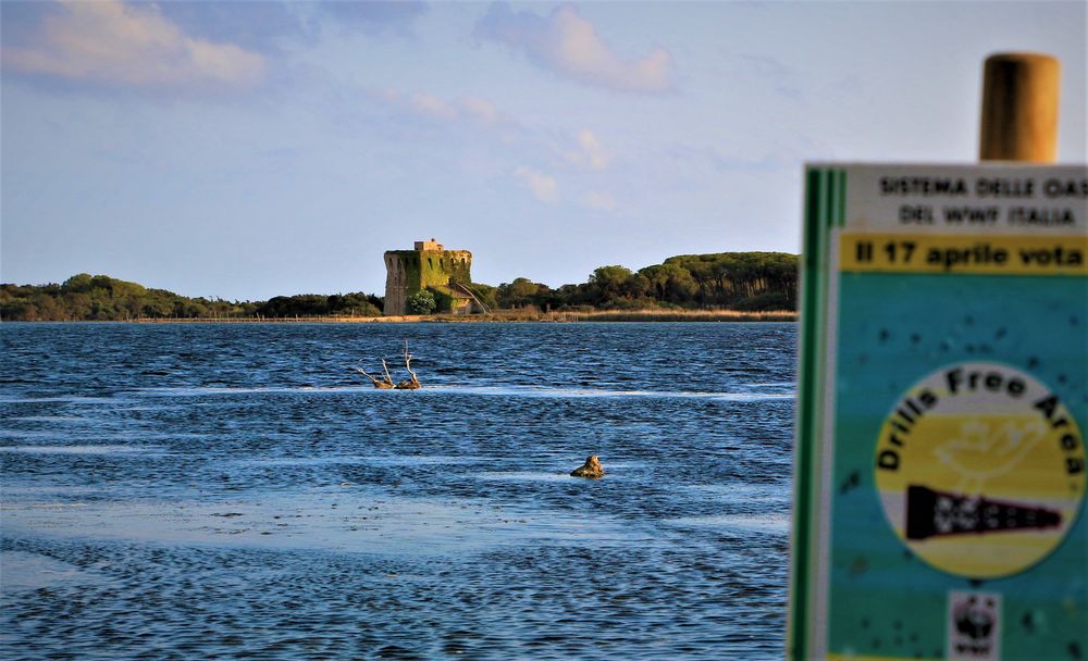 Oasi naturale wwf lago di Burano