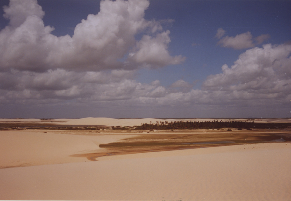 Oasi nel deserto