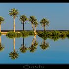 Oasis