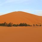 oasis al Sahara. Erg Chebbi