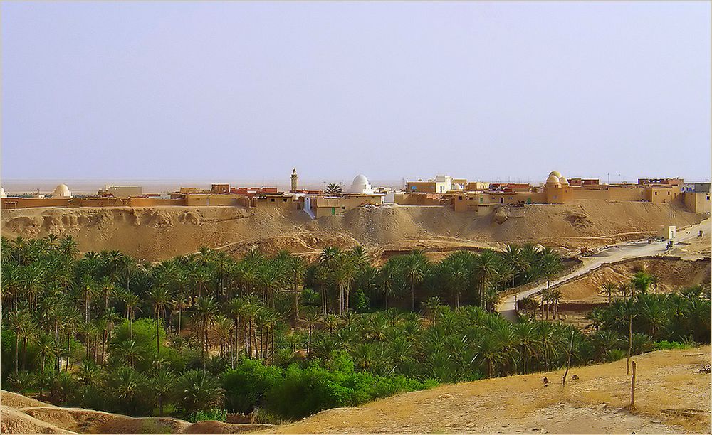 Oasis de Nefta (Tunisie)